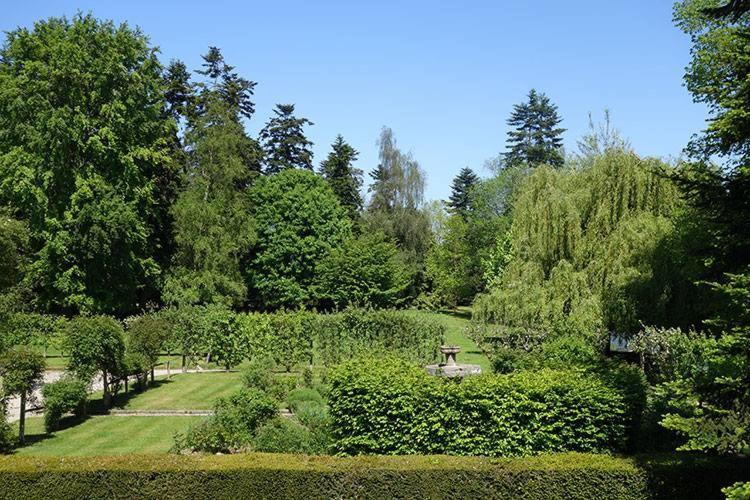 Gites Du Chateau De La Motte Joue-du-Plain Exteriér fotografie